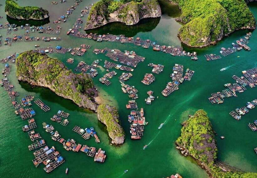 Cat Ba Island-Lan Ha Bay Day Trip: Kayaking, Swimming,Biking - Lan Ha Bay cruising: why the scenery is the point