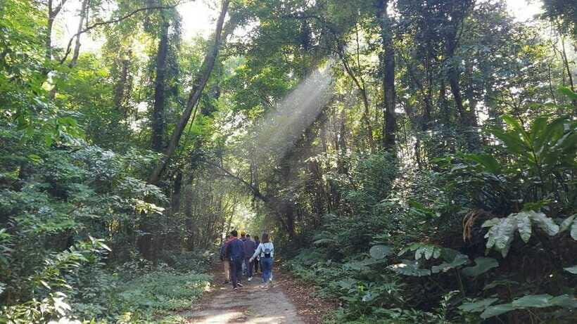 Cat Ba: National Park Day Trip with Cycling and Kayaking - Price and value: what $66 buys on a full Cat Ba day
