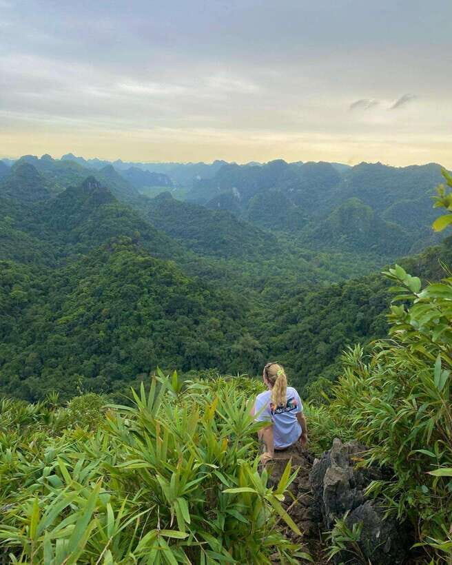 Cat Ba: National Park Trek, Village Visit and Kayak Day Tour - Frog Pond and Va Nuoc Trees: A Freshwater Pause That Feels Different