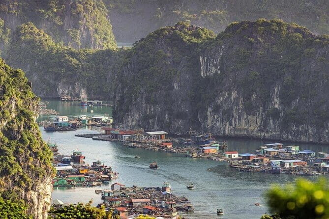 Cat Ba: Sunset & Bioluminescent Kayaking on Lan Ha Bay - Price and value: what $43 includes (and what you may pay extra for)