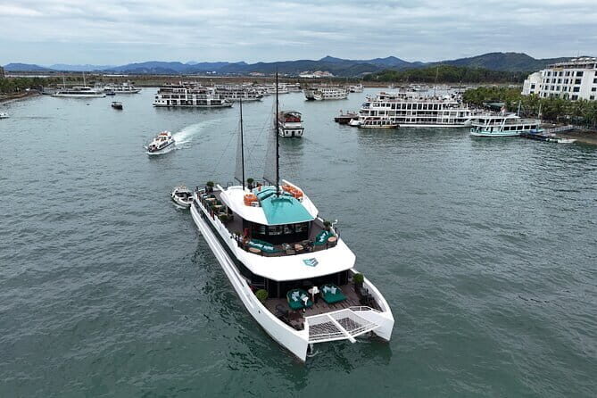 Catamaran Premium Cruise to Halong Bay & Lan Ha Bay in 1 Day Tour - A premium catamaran day that actually respects your time