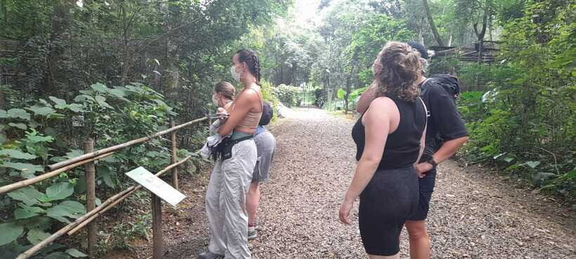 Cuc Phuong National Park Hiking Tour - Mac Lakeside bungalow walk: a gentle finish after the climbs