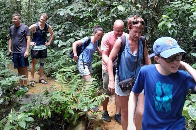 CUC Phuong National Park One Day Small Group - The Short Trek: Seeing Flora and Fauna in the Oldest Forest of Vietnam