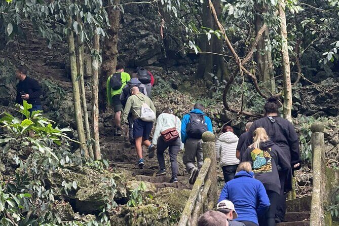 CUC Phuong National Park One Day Small Group - Timing That Works: Back by 4:30 PM