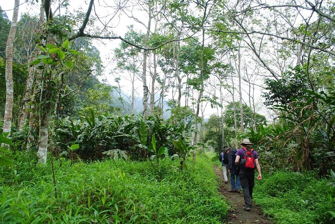Cuc Phuong National Park Private Day Tour: Trekking & Primates - Endangered Primate Rescue Centre: where the day turns from sightseeing to conservation