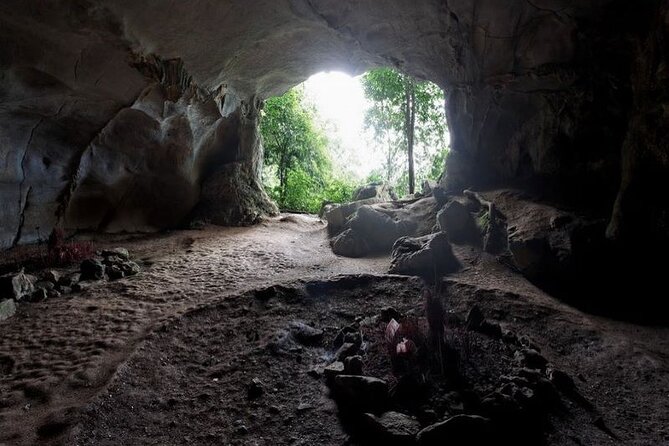 Cuc Phuong National Park Private Day Tour: Trekking & Primates - Jungle trekking: close to 1000 steps, so plan your pace and your rain plan