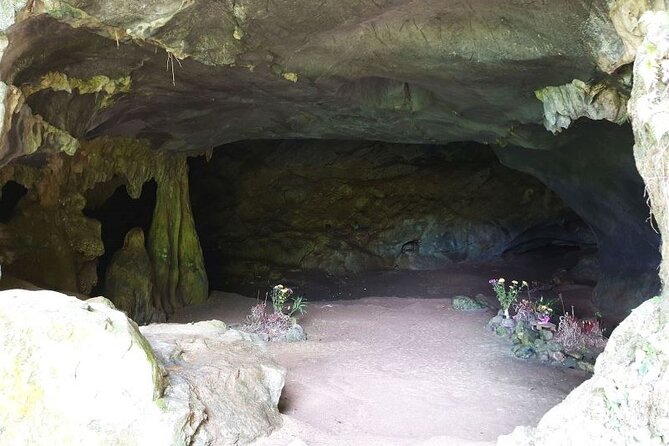 Cuc Phuong National Park Private Day Tour: Trekking & Primates - Who should book this tour, and who might want something easier