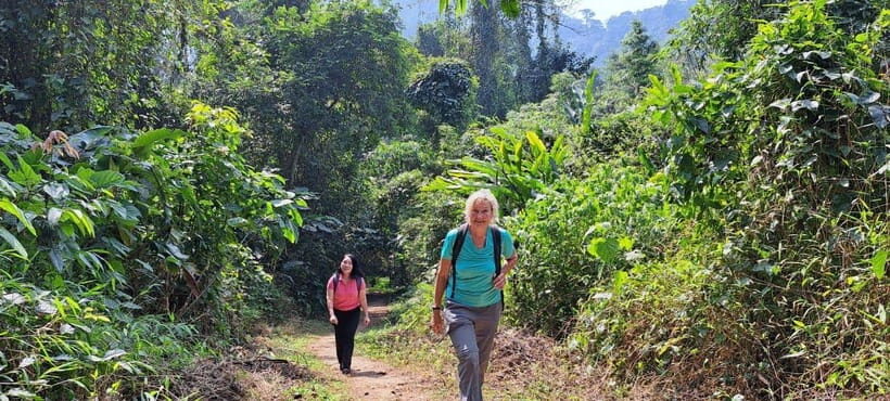 Cuc Phuong National Park - Van Long Day Trip From Hanoi - Why this day trip feels different: two ecosystems, one circuit