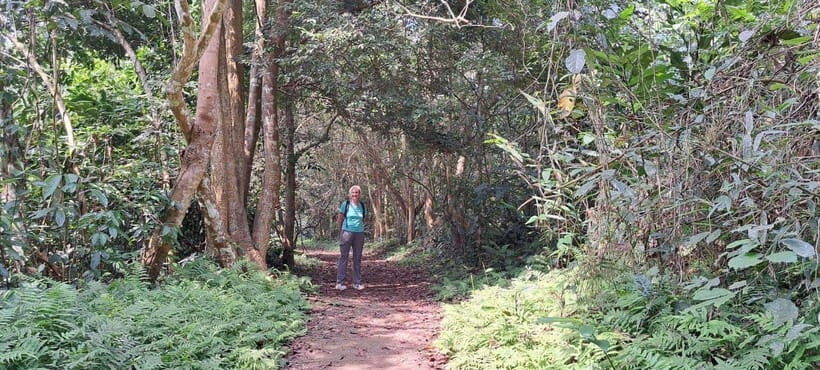 Cuc Phuong National Park - Van Long Day Trip From Hanoi - Endangered Primate Rescue Centre: conservation that you can actually visit