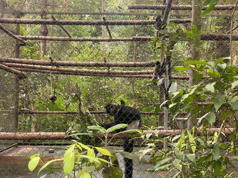 Cuc Phuong National Park - Van Long Day Trip From Hanoi - Price and value: is $76 really fair for this day?
