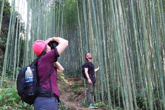 Daily Experience Authentic TaPhin Valley &Traditional Herbal bath - Bamboo forest trek to Ta Phin: moving from fields to village trails