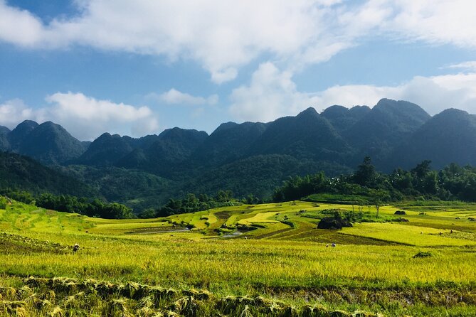 Daily Shuttle Bus Transfer Hanoi to Pu Luong or return - What Pu Luong Centre means for your first afternoon