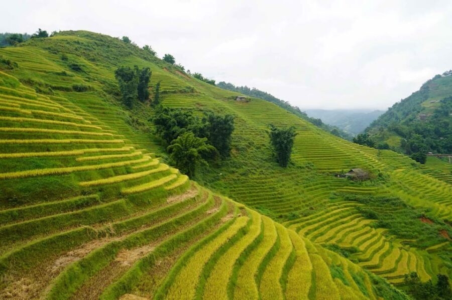 Day Trip to Cat Cat village - Fanxipang Peak/Lunch - Who this tour suits best