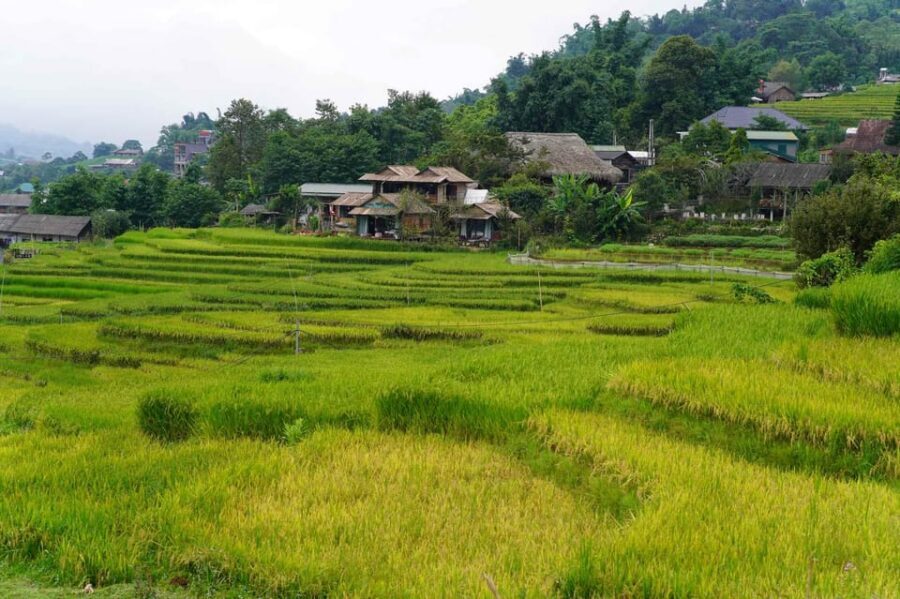 Day Trip to Cat Cat village - Fanxipang Peak/Lunch - What $60 really buys you (and what costs extra)