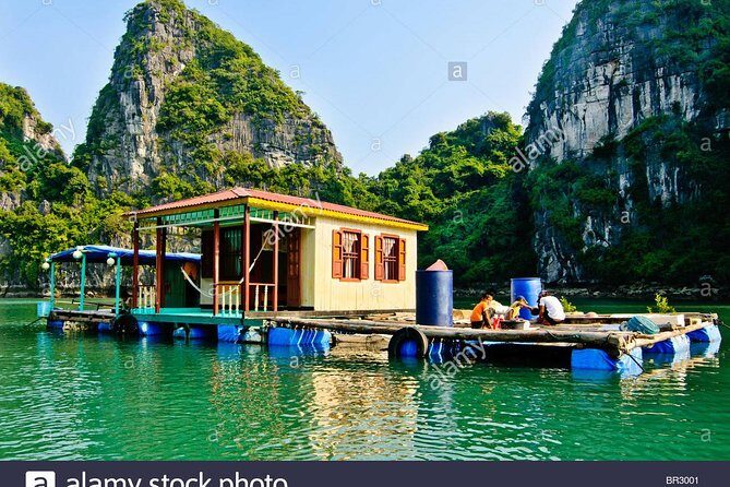 Deluxe Halong Bay 6 Hours Cruise To Visit Surprising Cave And Titop Island - Ti Top Island: beach time or peak views