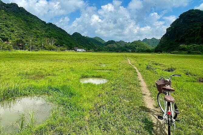 Discover Lan Ha Bay Viet Hai Village Hike to Ha Long bay - What’s Included (And Why It Matters): Lunch, Transport, Bikes, and Guides