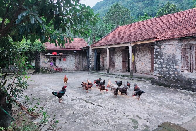 Discover Trang An Natural World Heritage, Bich Dong Pagoda, Cycling Day Tour - Trang An grottoes by small boat: caves, temples, and the Sao Khe River