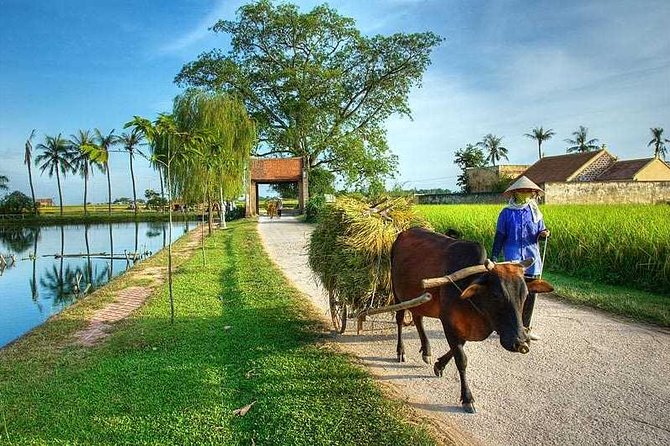 Duong Lam Ancient Village full day tour from Hanoi & experiencing local life - Key things you’ll remember