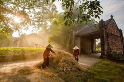 Duong Lam Ancient Village Private Tour: Ancient Vestage, Fortress - Mong Phu Village Hall: A Temple Built in 1533 on a Central High Point