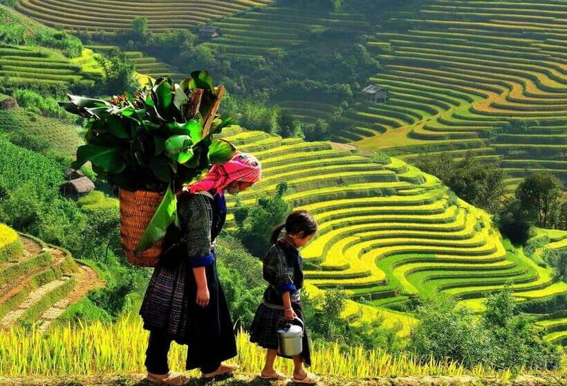 Easy Trek in Sapa mountain : Y Linh Ho - Lao Chai - Ta Van - Sapa in 7 hours: what this easy trek really feels like