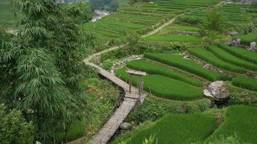 Easy Trek in Sapa mountain : Y Linh Ho - Lao Chai - Ta Van - Ta Van Giay village and the group-learning moment