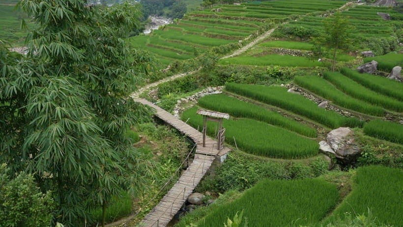 Easy Trek in Sapa mountain : Y Linh Ho - Lao Chai - Ta Van - Y Linh Hồ rice terraces and Hoàng Liên Sơn views