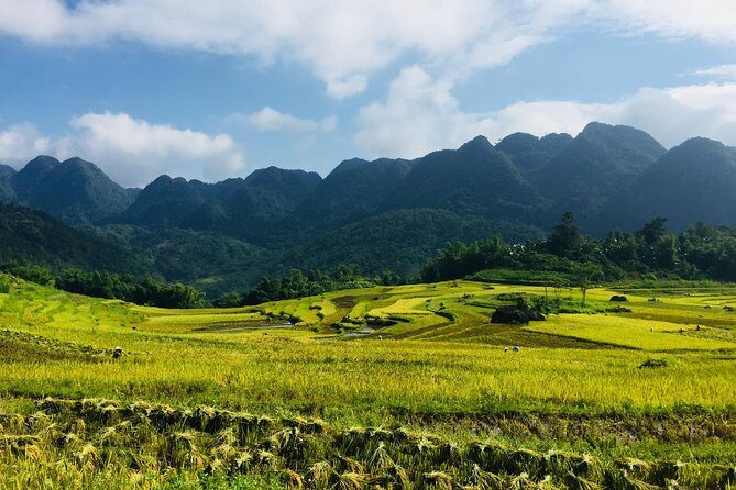 Explore Mai Chau - Pu Luong - Ninh Binh 4 Days / 3 Nights - Key highlights worth planning around