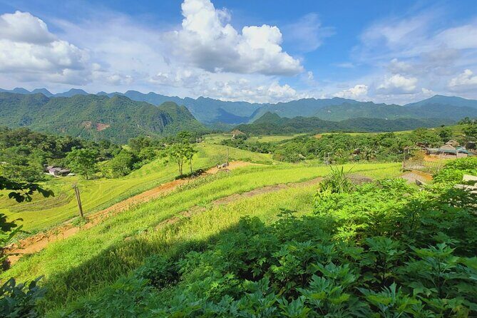 Explore Rice Terrace Pu Luong Ninh Binh Ha Long 4 Days 3 Night - Day 3 Ninh Binh: Hoa Lu, Trang An UNESCO Boats, and Mua Cave Views
