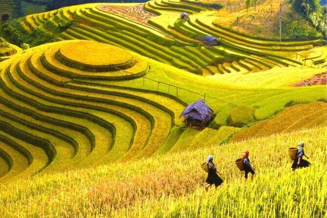 Fansipan Mountain, Cat Cat Village, Rice Terrace 2 Day Sapa Tour - Price and Value: Is $359.65 a Smart Deal?