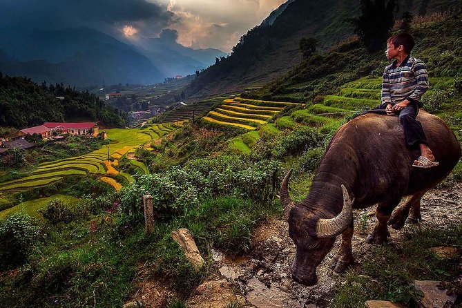 Fansipan Peak And Cat Cat Village In 2D1N From Hanoi - Two Days Up Fansipan and Into Cat Cat Village, Without the Planning Headache