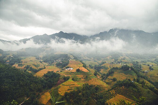 Fansipan Summit Challenge - From rainforest to bamboo and alpine meadows, without the tourist shortcuts