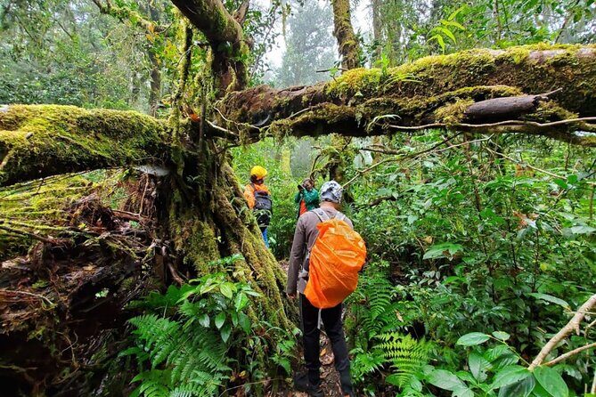 Fansipan Trek One Day Tour – Roof of Indochina - From Sapa Church to Tram Ton Pass: why the early start matters