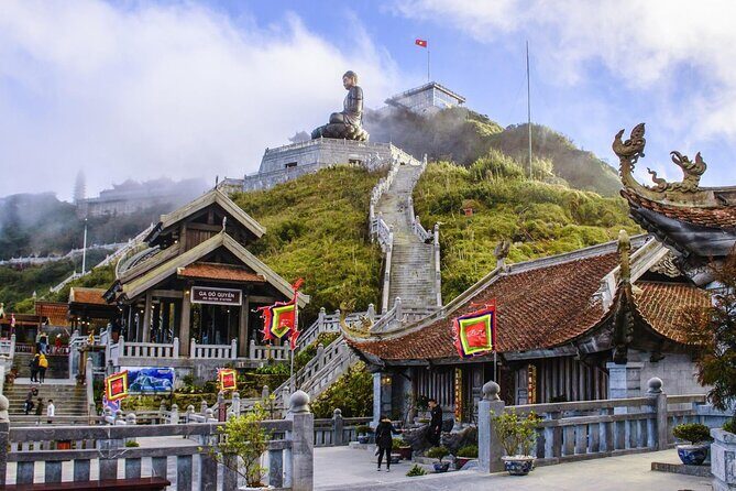 Fansipan Trek One Day Tour – Roof of Indochina - Climbing Hoang Lien Son: pine, bamboo, orchids, and wildlife you might spot