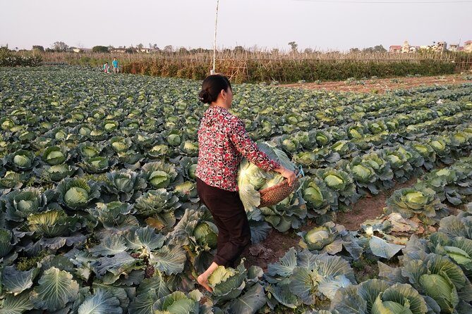 Farm tour & Home cooking class with local family in Hanoi - Key things to know before you go