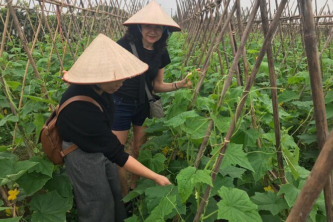 Farm tour & Home cooking class with local family in Hanoi - From market stalls to a family table in one half-day
