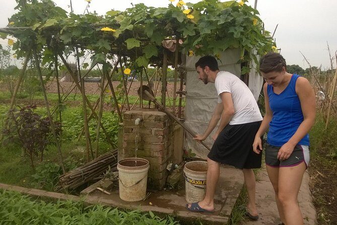 Farm tour & Home cooking class with local family in Hanoi - Hanoi’s farm market: where ingredients for the city start