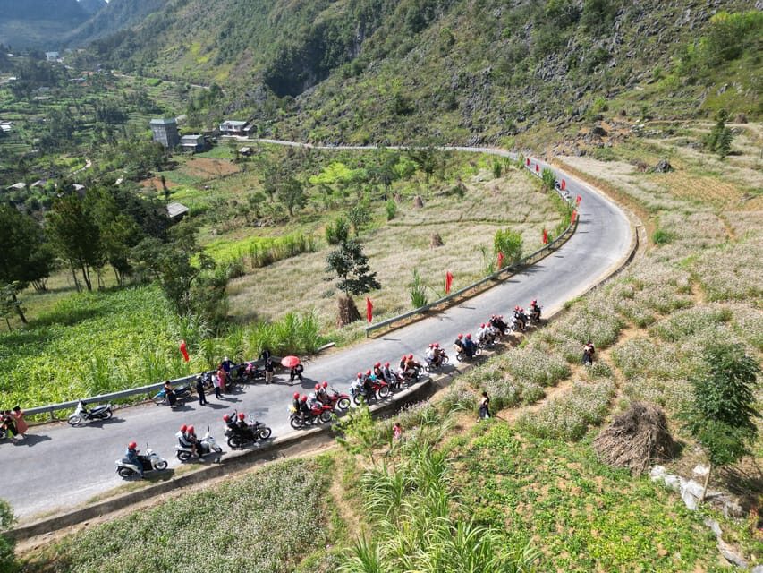 From Ha Long: 3 Day Ha Giang Loop Motorbike Tour With Rider - Price and value: what $209 covers and what to plan for