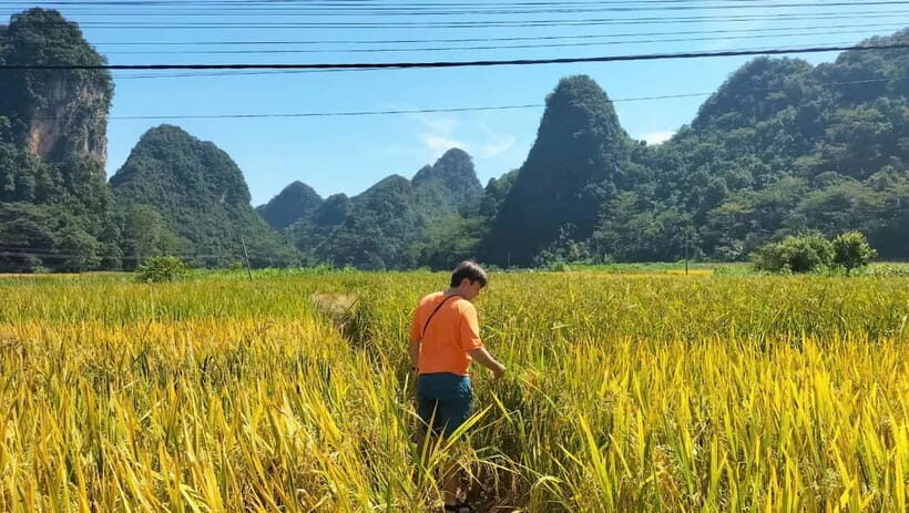 From Ha Noi: Cao Bang Loop Group Tour - Motorbike Tour 1 Day - Nguom Ngao Cave: stalactites, stalagmites, and a cool change of pace