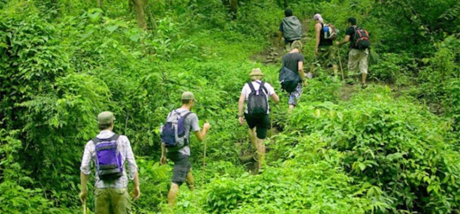 From Ha Noi Cuc Phuong National Park - Price and value: is $66 fair for what you get?