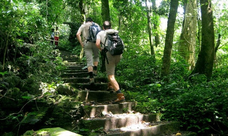 From Ha Noi Cuc Phuong National Park - Driving deeper: a 20 km transfer through primary forest