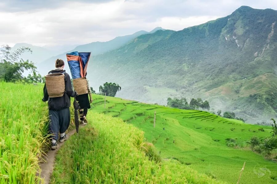 From Ha Noi: SAPA - FANSIPAN - CAT CAT VILLAGE 2 Day 1 Night - Value and cost: what $122 really covers (and what you’ll pay extra)