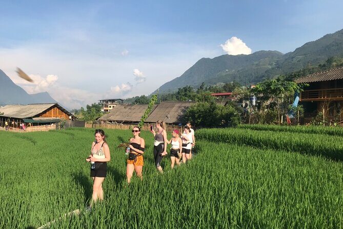 From Hà Nội : Sapa trek with local guide 2 days 1 night - First Morning in Sapa: Pickups, Settling In, Then Down the Trail