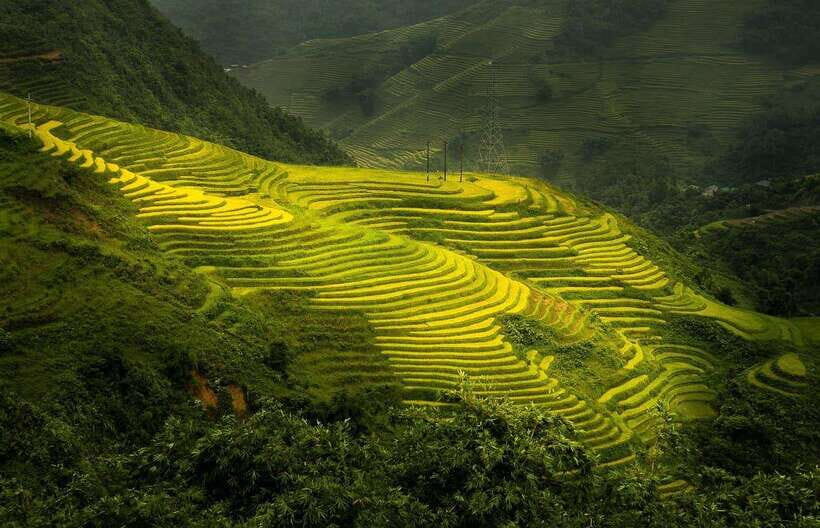 From Hanoi: 1-day Sapa Trekking Tour With Overnight Bus - Morning at 6:00 AM: breakfast, freshen up, and the guided start