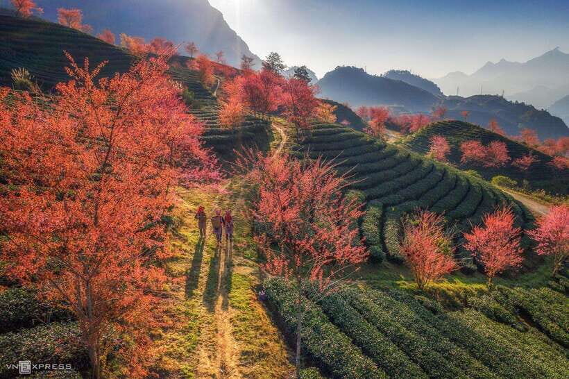 From Hanoi: 1-day Sapa Trekking Tour With Overnight Bus - Lao Chai: Black H’mong village life on the trail