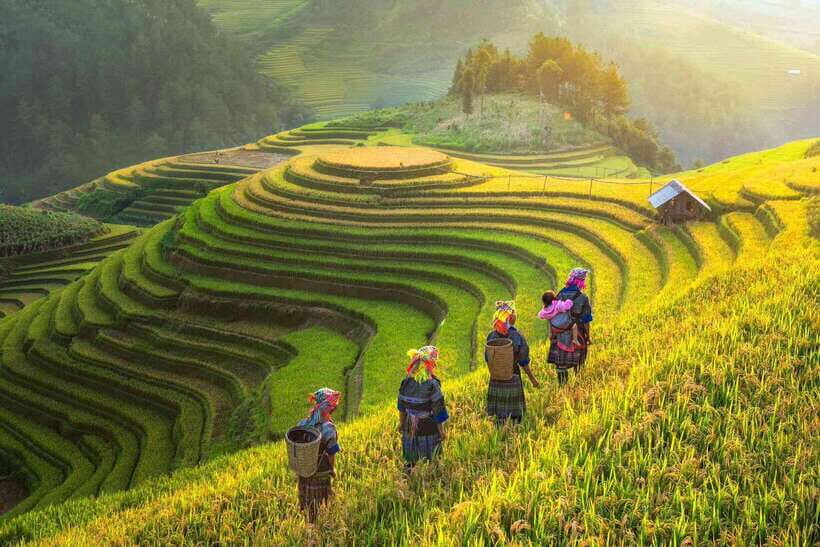 From Hanoi: 1-day Sapa Trekking Tour With Overnight Bus - Back to Sapa town and the 3:00 PM bus to Hanoi