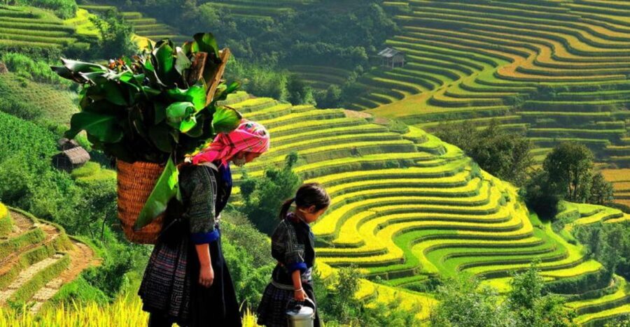 From Hanoi: 2-Day 2-Night Sapa Tour by Overnight Train - Key things that make this Sapa tour worth your time