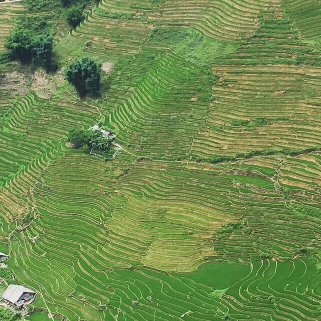 From Hanoi: 2-day Sapa Homestay & Cooking class with locals - Food and drink: what’s covered and what you’ll pay for