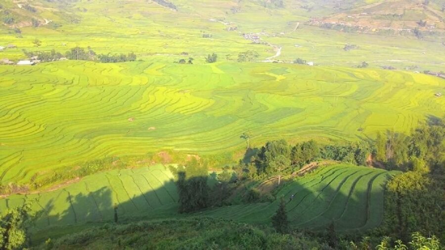 From Hanoi: 2 Day Sapa Trekking To Village & Bungalow, Meals - Key things to know before you go
