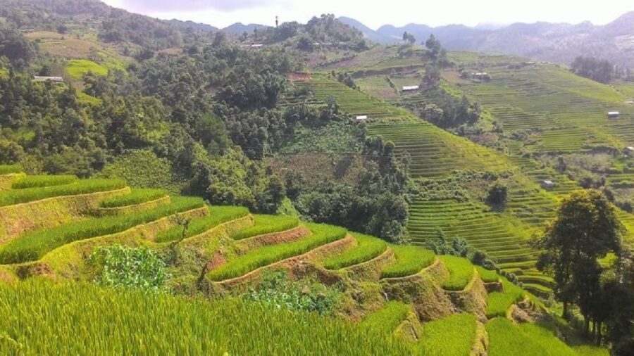 From Hanoi: 2 Day Sapa Trekking To Village & Bungalow, Meals - Should you book this 2D1N Sapa trekking + homestay experience?