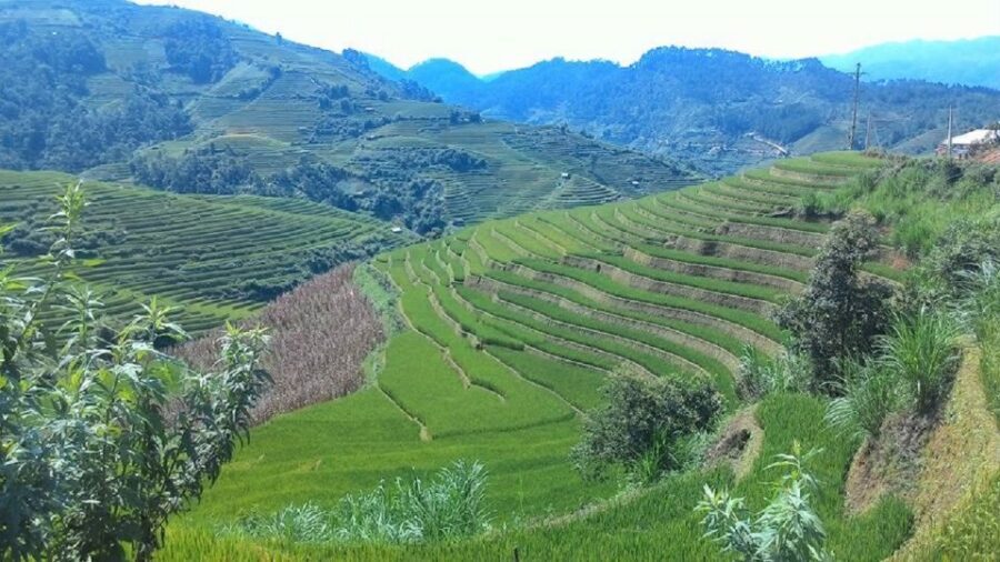 From Hanoi: 2 Day Sapa Trekking To Village & Bungalow, Meals - Food: lunches, dinner, and how meals fit into the trekking rhythm